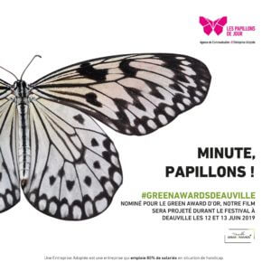 Papillon